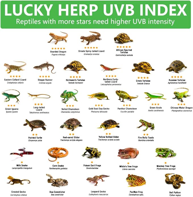 LUCKY HERP 24inch 18W T8 UVB 5.0 Reptile Light, UVA UVB Bulb, Fluorescent Lamp for Reptiles Amphibian
