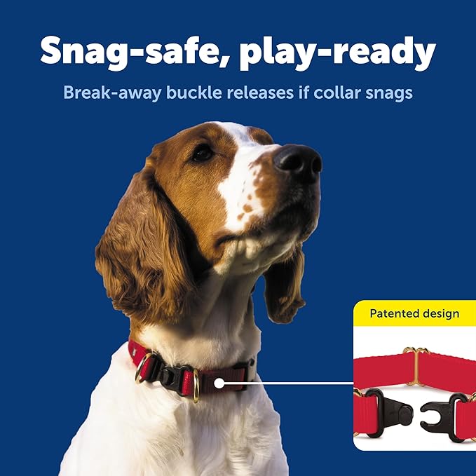 PetSafe KeepSafe Collar for Dogs - Protects Against Collar Accidents - Long Lasting - Durable - Adjustable - Breakaway - Outdoor-Safe - Large - 1 In. Wide - Black