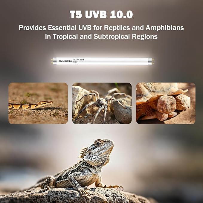 T5 10.0 UVB Reptile Light Bulb 8W, UVA UVB Light Bulb for Reptiles, 2 Pack Reptile UVB Lamp Tube 12 Inch, for Bearded Dragon, Lizards, Chameleons