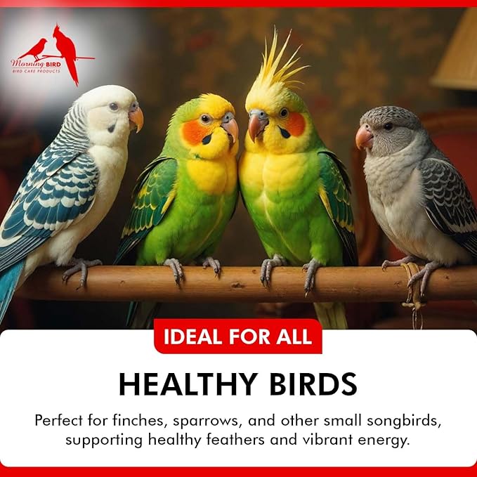 Morning Bird Calcium Plus Powder for Birds 4.5 oz – Calcium Supplement with Vitamin & Protein Powder – Supports Bone Health, Muscle Function & Digestive Balance – Easy-to-Mix Calcium Formula