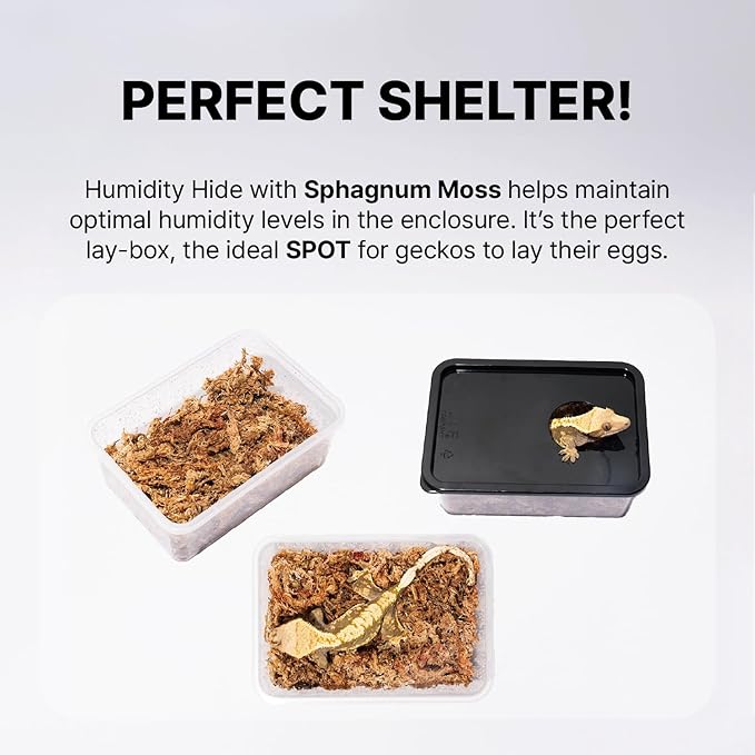 Gecko Habitat Kit - 3.5 Gallon Reptile Terrarium with Ventilated Lid, Gecko Tank with Humidity Hide, Reptiles Ledge, Feeding Dish - Stackable Lizard Terrarium for Geckos, Amphibians, Small Animals