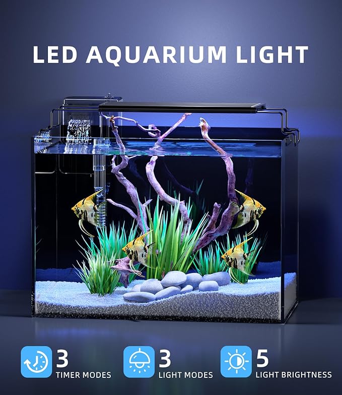 5 Gallon Fish Tank Aquarium Kit with Filter, Heater, LED Light with Timer, Siphon Vacuum Cleaner, Lid, Self-Cleaning Glass Rimless Betta Tank