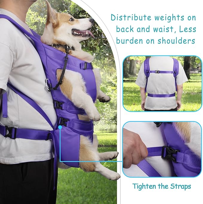 PetBonus Pet Front Dog Carrier Backpacks, Adjustable Pet Backpack, Legs Out Easy-fit Puppy Chest Carrier for Medium Small Dogs, Hands Free for Hiking, Cycling (Purple, L)