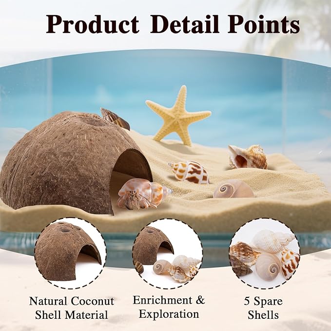 Hermit Crab Shells 1 Coconut Shell Hut 5 PCS Hermit Crab Seashells Accessories Decorations Enrichment Hut for House Hermit Crab Tank Hide Reptile Hideout