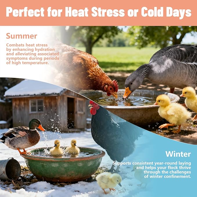 Chicken Electrolyte for Water, Ideal for Hydration, Immunity, Digestive Health, Chicken Vitamins, Electrolytes, and Probiotics, Multipurpose Poultry Vitamins for Chickens, Ducks, Turkeys, 8.8 OZ