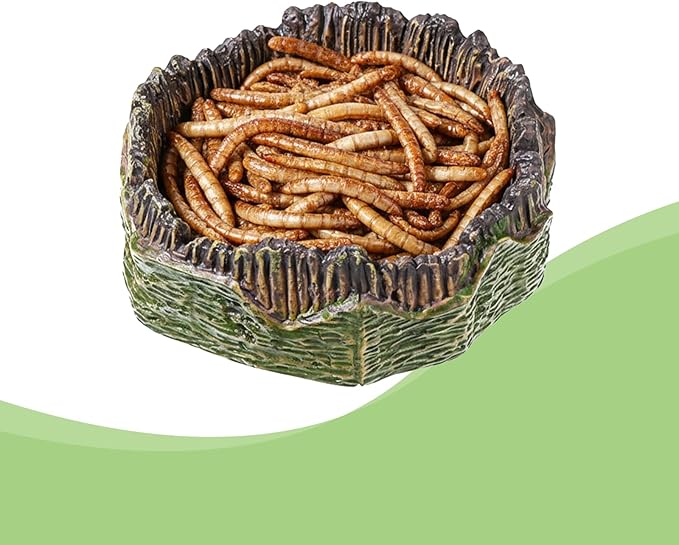 2 PCS Small Reptile Food Dish Reptile Water Dish Food Bowl Reptiles Feeding Foods Resin Terrarium Bowl for Bearded Dragon Gecko Frog Snake Chameleon Tortoise