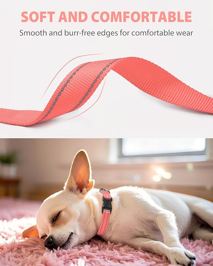 Joytale Small Dog Collar, Reflective and Adjustable Nylon Collar with Quick-Release Buckle, Lightweight No-Choke Design for Puppy and Extra Small Dogs, Pink, XS