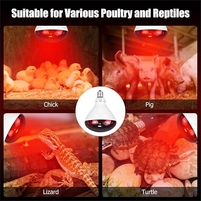 250W Infrared Heat Lamp for Chicken, Red Heat Light Bulb R125 1 Pack, Heat Lamp Bulb for Chick Croop, Reptiles, Pets, Food