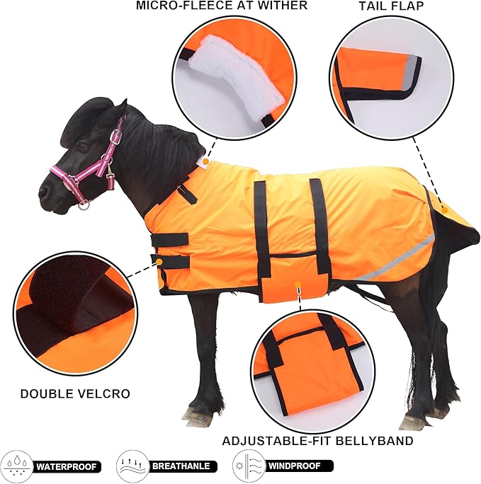 Foal/Mini Horse Size 30"-48" Waterproof & Breathable 300 Denier Winter Turnout Blanket with 150g Polyfill Orange Small