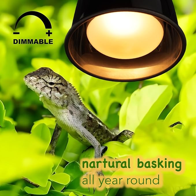 75W 2-Pack Reptile Basking Heat Bulb, UVA Daylight Heat Lamp Bulbs for Bearded Dragons, Turtles, Snakes, Lizards & Amphibians - Provides Infrared Heat Output & Sunlight Simulation Heating Light