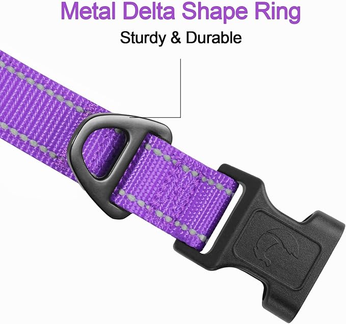Joytale Reflective Dog Collar, Soft Neoprene Padded, Metal D-Ring, Nylon Pet Collar Adjustable for Extra Large Dogs, Purple, XL