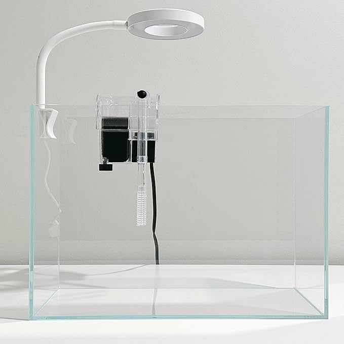 Nano Aquarium kit, Small Betta Fish Aquarium, 2.2 Gallon Rimless Glass Fish Tank with Filter, Light, and Aquascaping Decorations (Transparent, Complete)