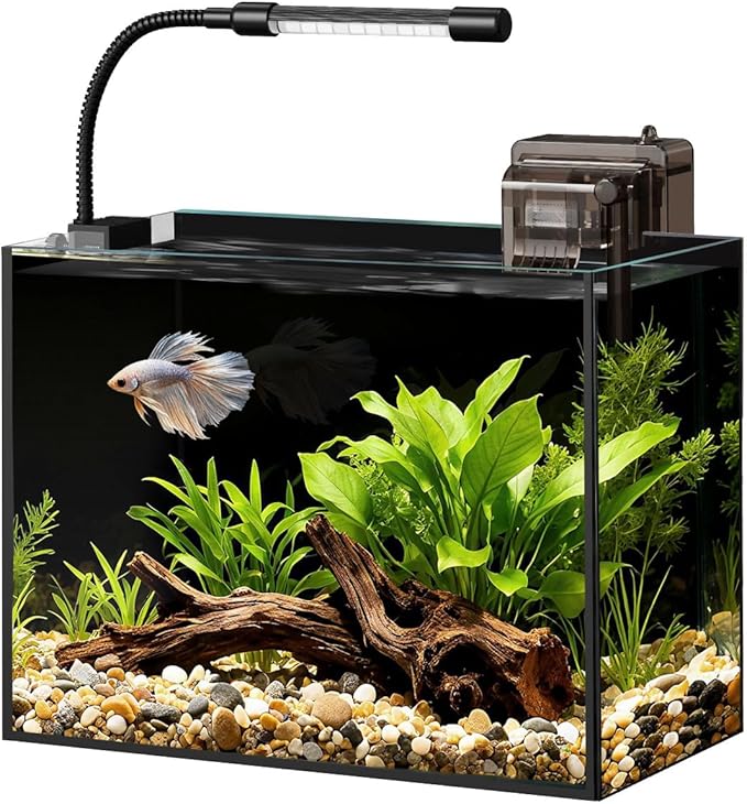 Glass Fish Tank Kit, 2.5 Gallon Betta Fish Tank Aquarium Starter Kit with Filter, Lights, Lid, for Betta, Goldfish, Small Fish or shrimg
