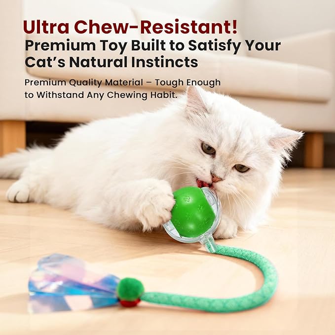 Rocfish Interactive Cat Toy for Indoor Cat, Smart Automatic Cat Chase Ball Toy (New Green)