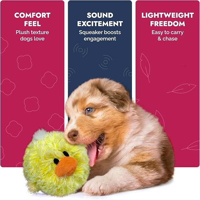 Pet Lou DOG'Z 4 Inch EZ Squeaky Chick Dog Plush Toy, Stuffing-Free Soft Plush, Durable Bouncy Squeaker Ball, Floats in Water, for Small & Medium Dogs, Yellow