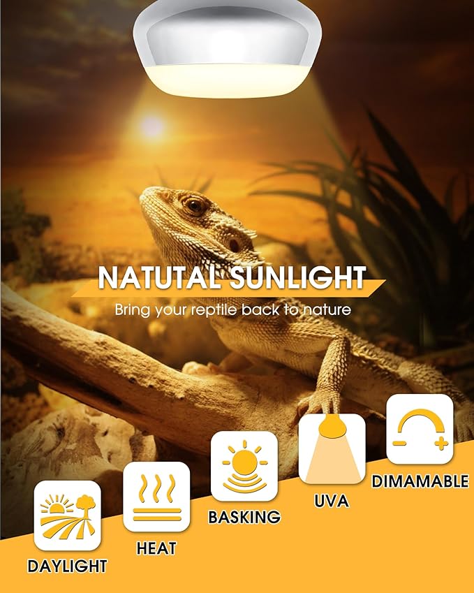 EvaStary Reptile Heat Lamp Bulb, 2-Pack 100W Simulate Natural Sunlight Heat Light Bulb for Reptiles, UVA Daylight Heat Lamp Bulbs for Reptiles, Bearded Dragon, Amphibians, Turtle, Lizard, Snake