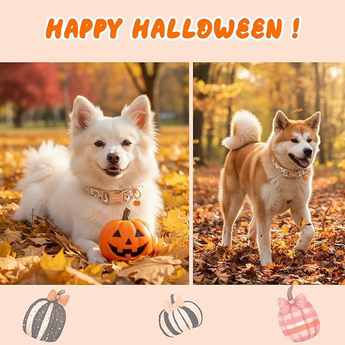 Halloween Dog Collars, Fall Dog Collar for Dogs, Fun Multi-Color Pumpkin Dog Collars for Extra Small Dogs, Adjustable Cotton Small Dog Collar Puppy Collar for Halloween & Thanksgiving