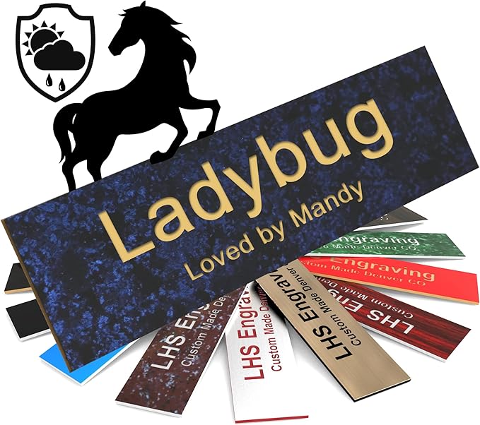 Horse Stall Name Plate, 2x12 Personalized Stall Signs, UV Protected, All Weather Adhesive, Hanging, Mounting or Other, Celestial Blue Plastic Gold Letters - Made in USA - S1
