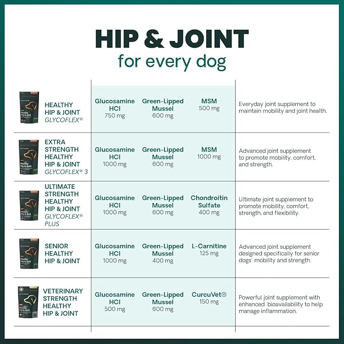 VetriScience Ultimate Strength Hip & Joint Supplement for Dogs, GlycoFlex Plus – MSM, Chondroitin & Green-Lipped Mussel Chews for Mobility, Flexibility, Comfort & Support, Duck Flavor, 120 Cnt