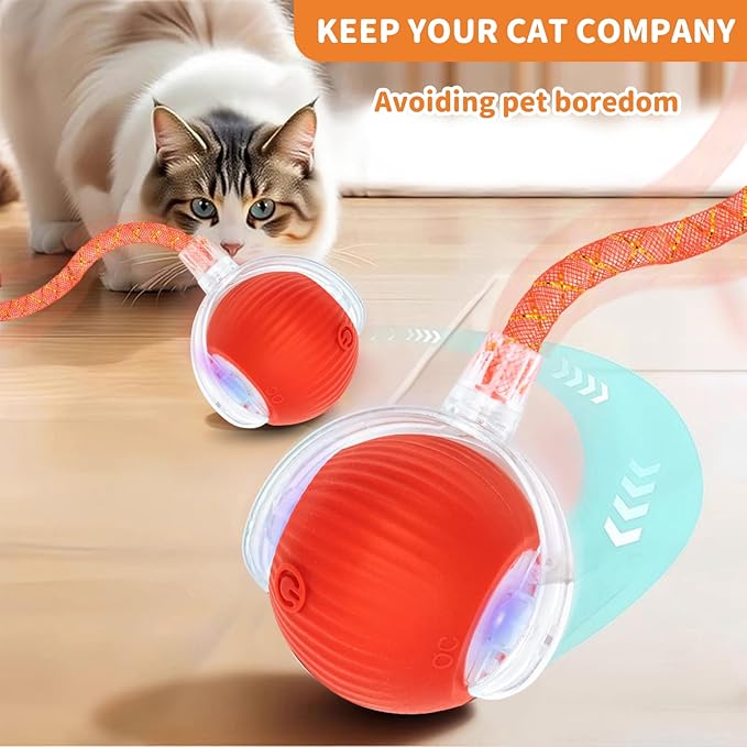 Interactive Cat Toys for Indoor Cats Smart Automatic Ball Rolling for Bored Kitten Pet Upgraded Speedy Moving Chase Dogs Toy Red Dragonfly