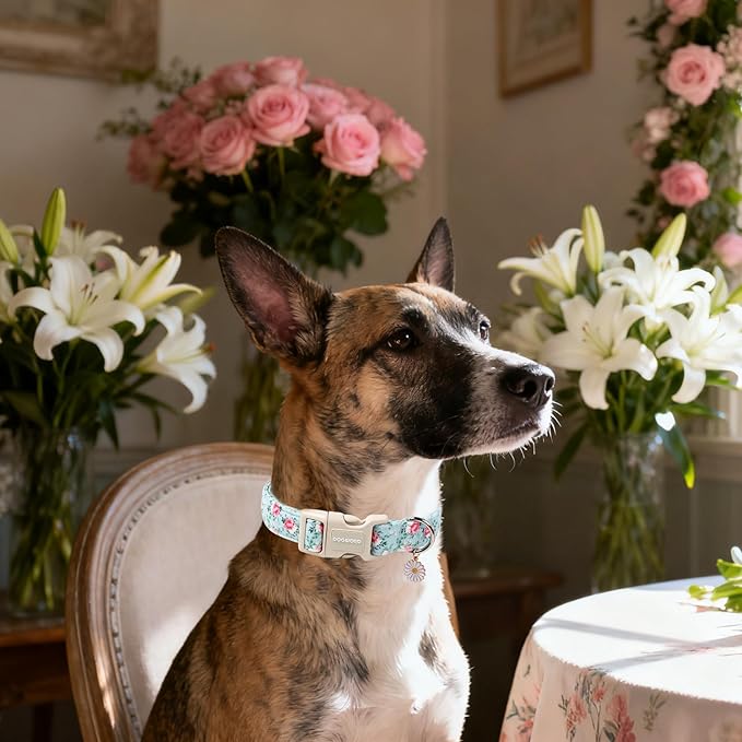 DOGWONG Floral Dog Collar, Cute Adjustable Flower Collar, Girl Female Dog Collar with Strong Plastic Buckle for Small Medium Large Dogs,M
