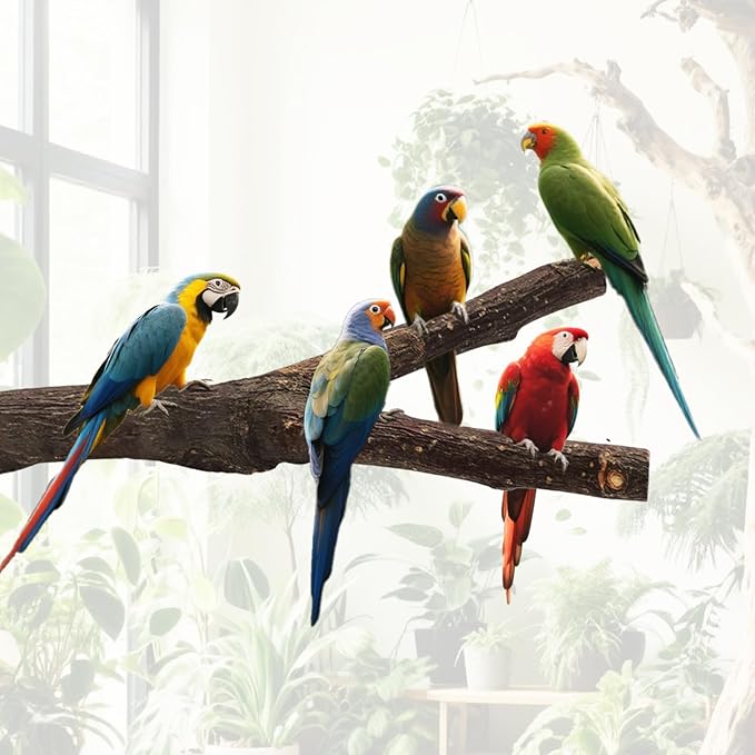8PCS Bird Perch Natural Wooden Parrot Parakeet Toy Stand Branches Bird Cage Accessories Fork Toys Hanging Multi-Branch Perches Platform Hammock Swing Toy for Parakeets Cockatiel Conure