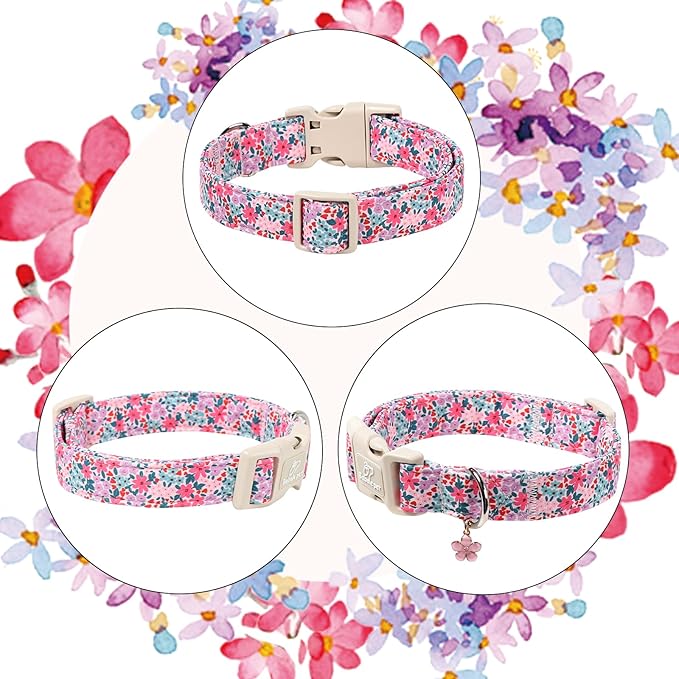 Floral Dog Collar, Cute Girl Dog Collars - Pastel Wildflowers Pattern Spring Summer Puppy Collar, Adjustable Female Dog Collars for Small Medium Large Dogs L