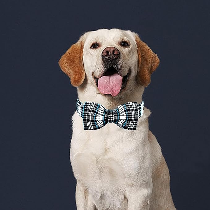 Lionheart glory Dog Bow Collar Blue and Black Plaid Dog Collar for Small Dogs,Boy Dog Collars with Bowtie Spring Summer Collars Soft Adjustable Pet Collar Bows