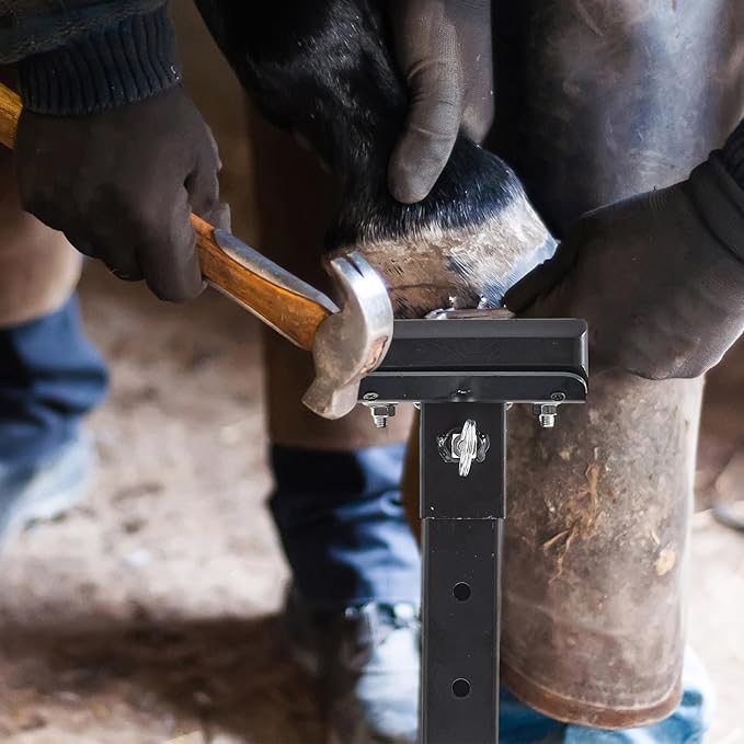 Zonon Metal Adjustable Farrier Stand Blacksmith Farrier Horse Hoof Stand Height Farrier Stand for Horses Black Horse Hoof Trimming Tools(Metal Round Base)