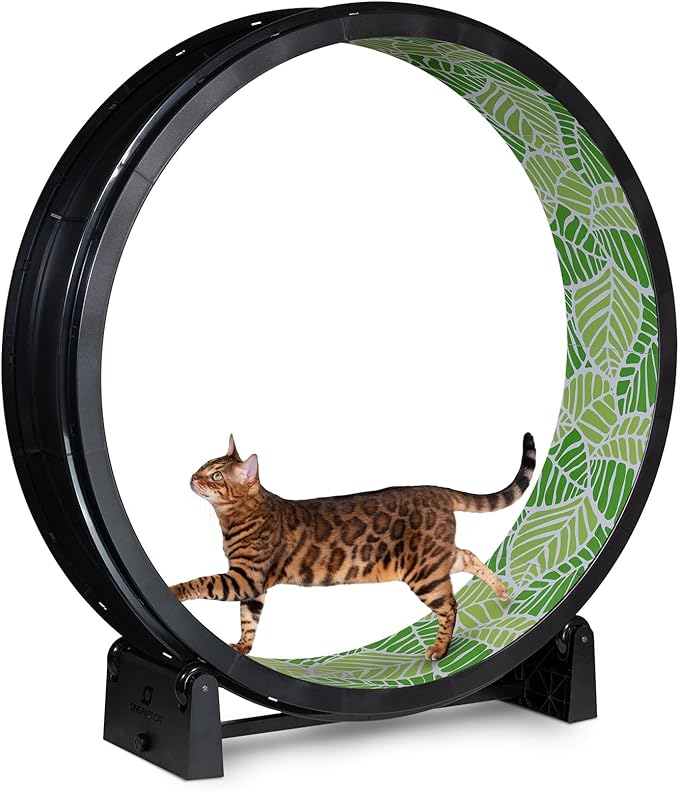 One Fast Cat - Cat Exercise Wheel - Gen. 7 - Safe 48" Diameter - Made in The USA - Black Wheel with Jungle Leaves Foam Traction Pads and Solid Black Inline Wheels