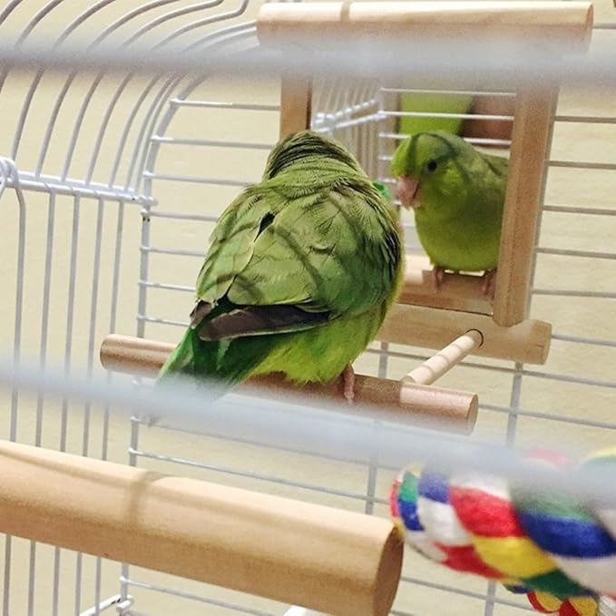 HANZE Bird Mirror Swing with Rattan Ball | Natural Wood Parrot Toy with Metal Hooks for Macaws, Cockatiels, Parakeets, Lovebirds | Safe Chewing & Mental Stimulation