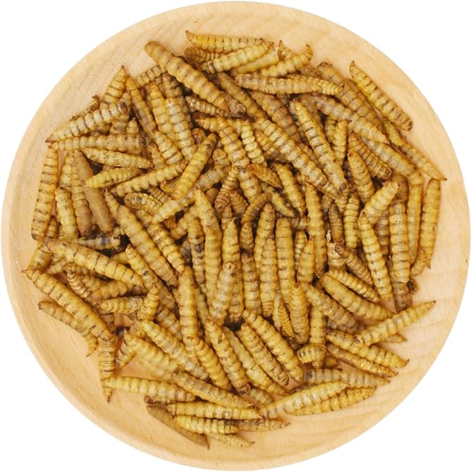 Premium Chicken Treats 2LB - Non-GMO & 85X More Calcium Than Meal Worms - Molting & Laying Supplement - BSF Larvae Treats for Layer Hens, Ducks Wild Birds
