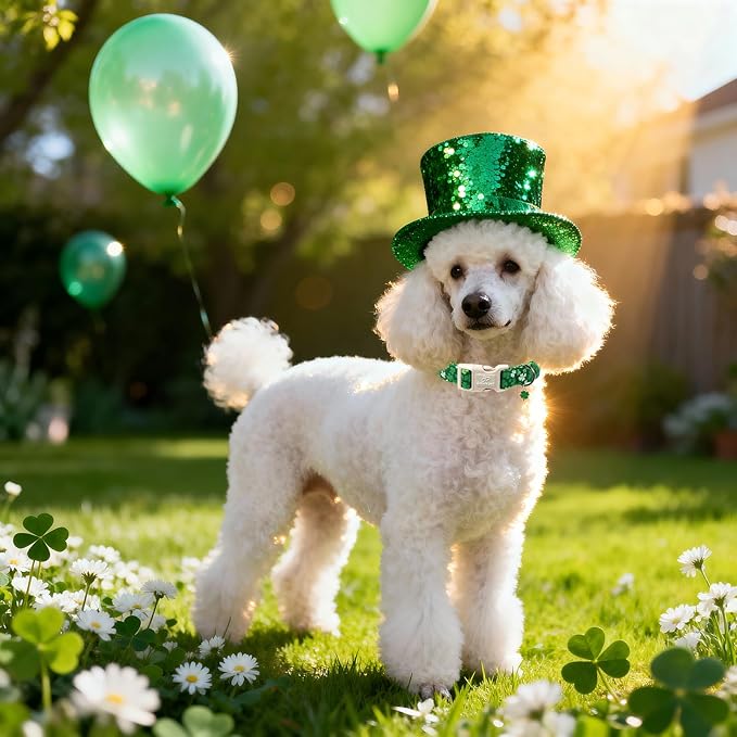 St. Patrick's Day Dog Collar for Medium Dogs - Bold Green Lucky Clover Dog Collars, Cute Irish Party Shamrock Puppy Collar, Lightweight Adjustable St. Patricks Day Pet Collars M