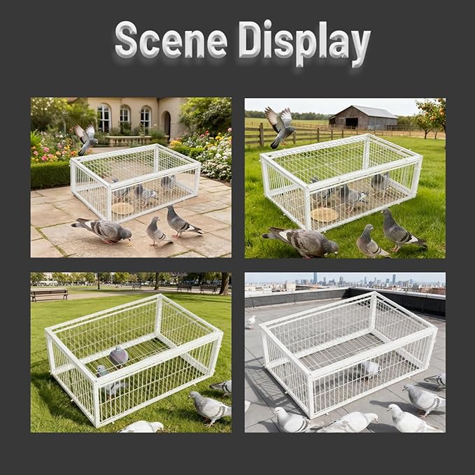 Escape-Proof Design Pigeon Coop Four Channel One Way Entrance Pigeon Trap,Pigeon Cage, Portable Easy to Assemble Outdoor Bird Cage,Can Be Used for Rooftops, Open Gardens,Barns Farms