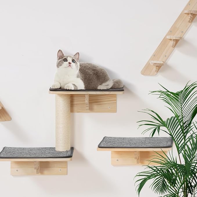 VEVOR Wall Mounted Cat Shelves, Cat Wall Shelves and Perches with Jumping Boards, Cat Beds, Hammocks & Cat Tree, Cat Furniture and Shelves up to 40 lbs for Sleeping, Playing, Climbing, Set of 9