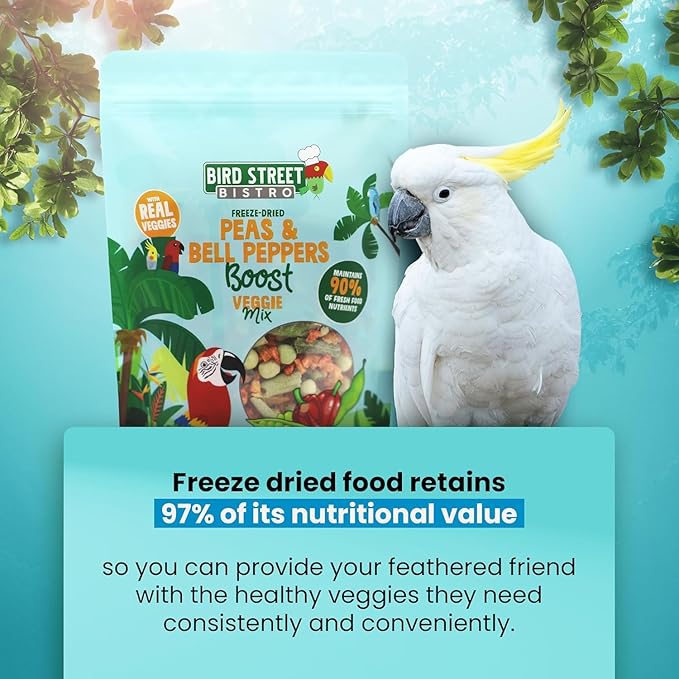 Bird Treats - Parrot & Cockatiel Food - Parakeet & Conure Treats - Topper