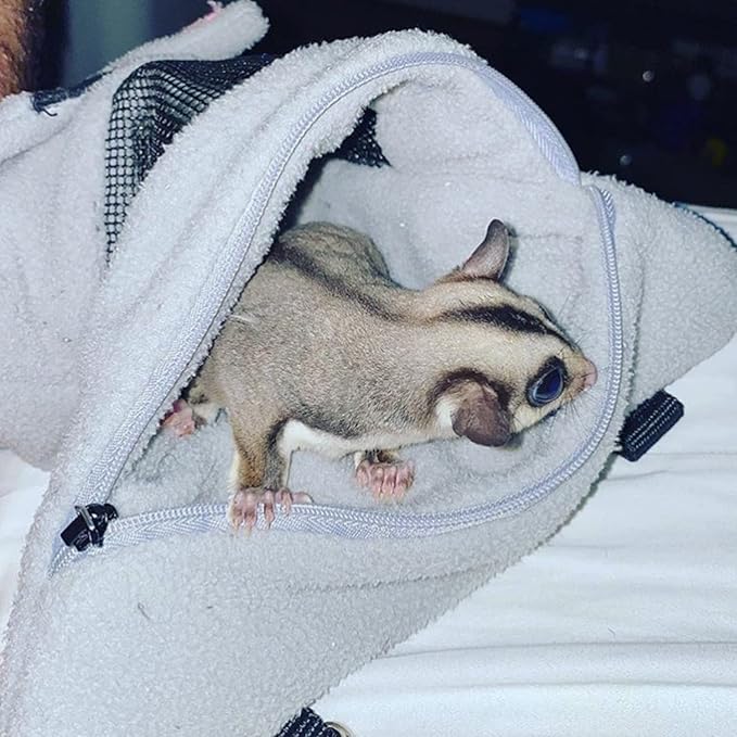 Glider Bonding Pouch - Carry Bonding Pouch for Sugar Gliders, Rats, Ferrets, Chinchillas, Squirrels, Marmosets, Hamsters, Gerbils & Small Animals