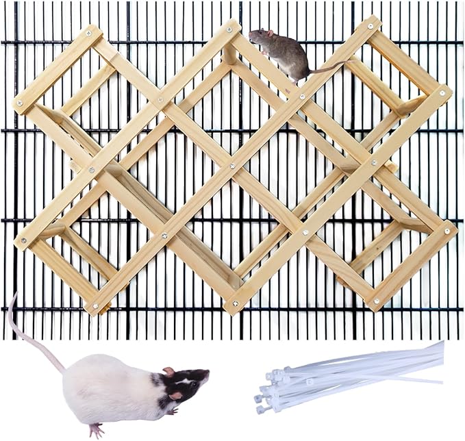 Wooden Rat Climbing Toys for Pet Rats - Natural Cage Accessories,Climbing Ladder,Hanging Enrichment Toys for Fancy Rats,Fun & Safe Play & Chew Activities,L