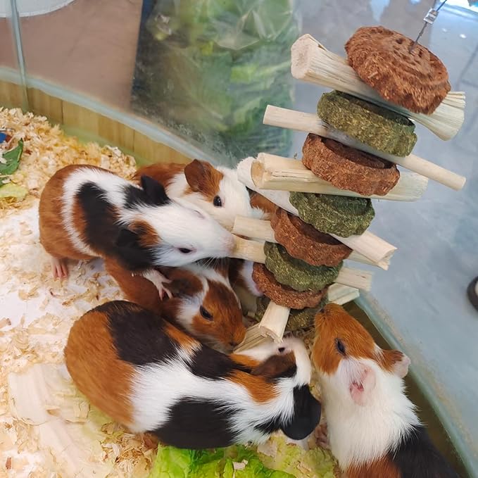 Rabbit Chew Toys,Natural Chew Treats Sticks and Balls for Bunny Chinchilla Guinea Pig Hamster,Bunny Chew Toys for Teeth