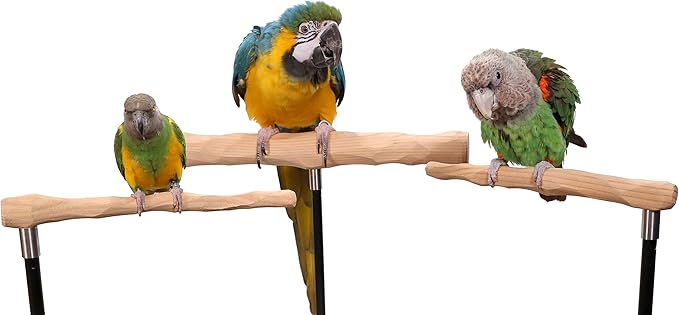 Parrot Training Perch Kit (T Perch, Small)