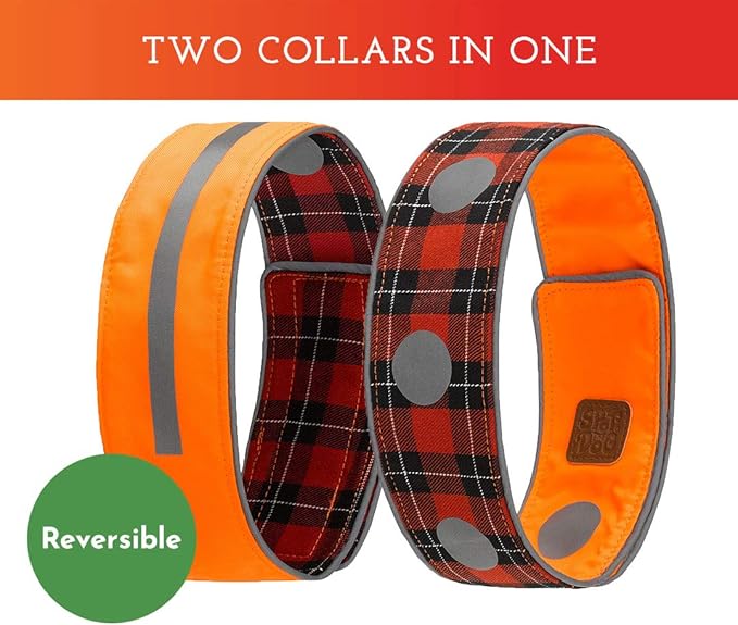 SPOT THE DOG! Reflective Dog Collar - Adjustable Pet Collars, Safe, Durable, Comfortable Dog Walking Accessories for Small Dog, Hunting Dog, Puppy, Boy, Girl Dog Collars (Blaze Orange, Red Plaid, S)