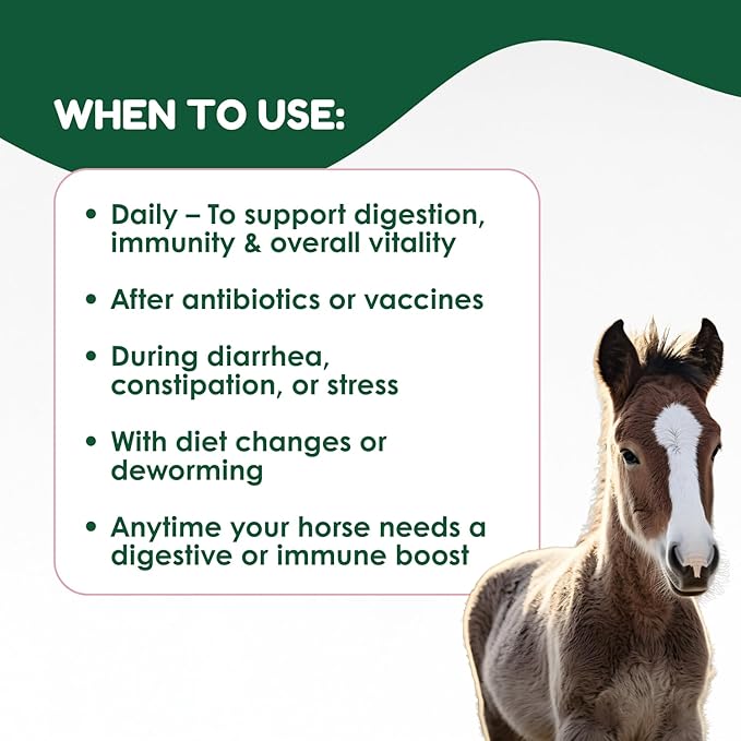 Horse Pre & Probiotic Paste (30 Pack, 80cc Each), Horse Paste Pre and Probiotics +Vitamins & Minerals- 4 Strains and 8 Billion CFU per Serving- Immune and Gastro Health Support for Equines