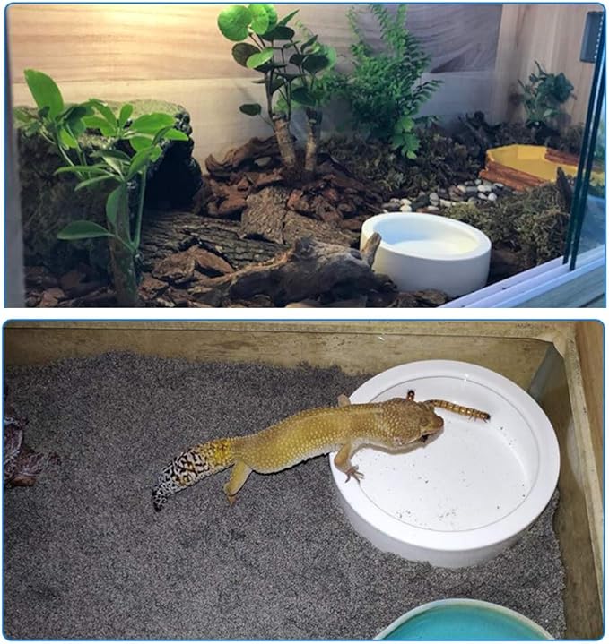 Reptile Food Water Bowl, 2 pcs Ceramics Worm Dish,Anti-Escape Reptile Water Feeder,Mealworm Bowl for Lizard Gecko Bearded Dragon, (S,M,L) (Medium)