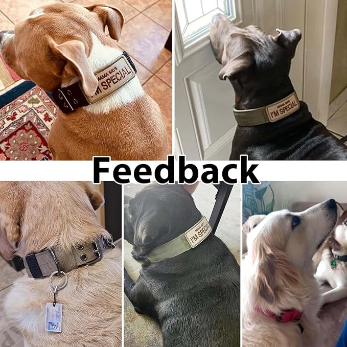 Tactical Dog Collar Military Adjustable Dog Collars Soft Nylon Training Collar with Patch Heavy Duty Metal Buckle Collars for Medium Large Dogs (Violet, L)