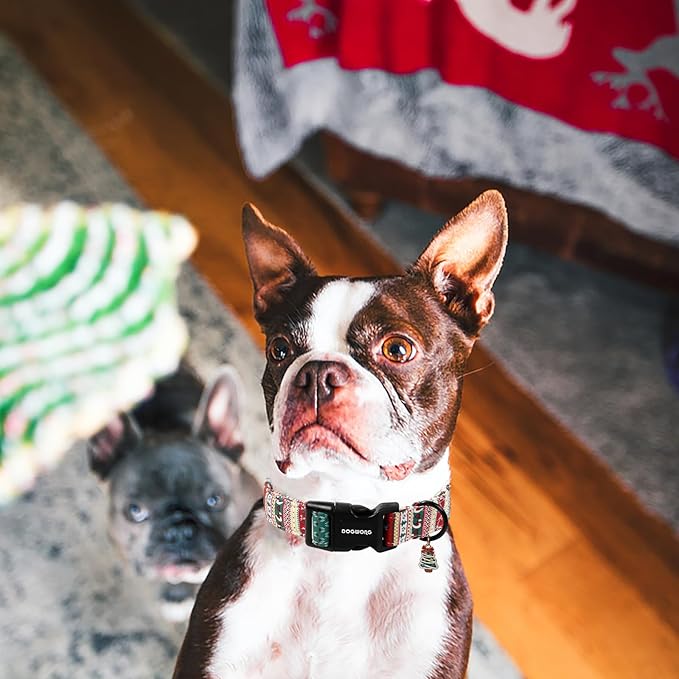 DOGWONG Christma Dog Collar, Classic Cute Red Green Christmas Tree Dog Collar for Boy and Girl Dogs, Strong Plastic Buckle Dog Collars for Small Dogs,S