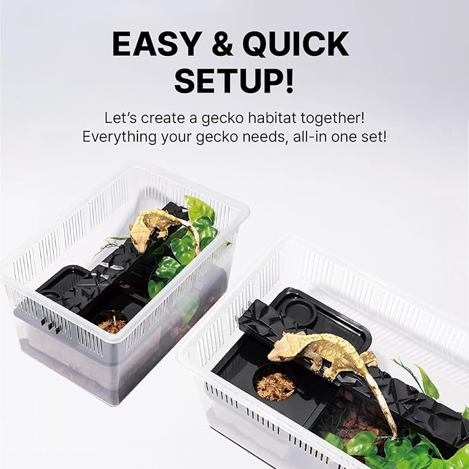 Gecko Habitat Kit - 3.5 Gallon Reptile Terrarium with Ventilated Lid, Gecko Tank with Humidity Hide, Reptiles Ledge, Feeding Dish - Stackable Lizard Terrarium for Geckos, Amphibians, Small Animals