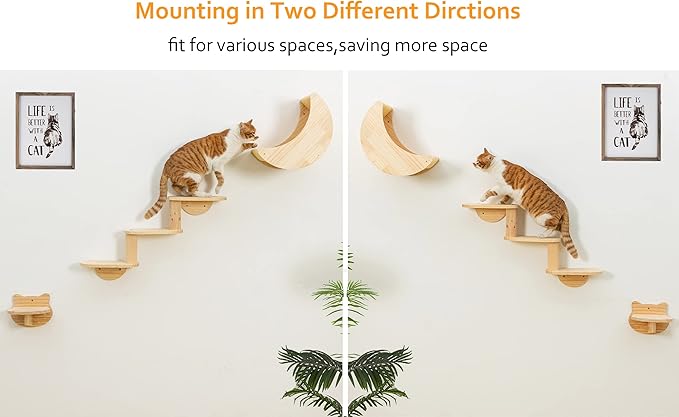 Cat Shelf for Wall Mount Hammock with 3-Levels Climbing Ladder and Shelves Moon Cats Wall Furniture for Activity Indoor Kitty (3-Levels Steps)