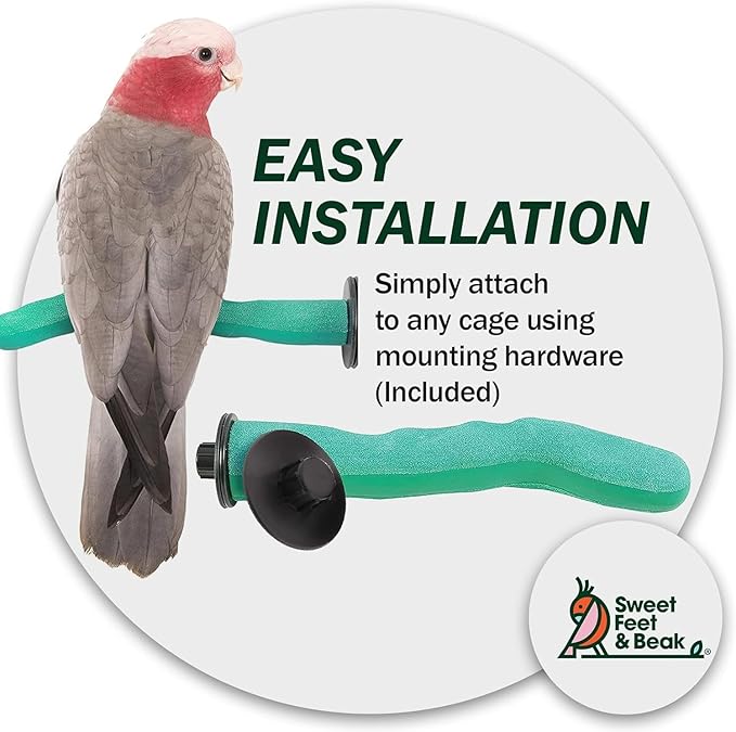 Sweet Feet & Beak Safety Pumice Bird Perch, Medium 1-1/4" X 12", Blue - Lightweight Grinding Bird Perches for Cage - Bird Nail Trimming Perch for Healthy Beak & Feet - Multi-Size & Color Parrot Stand