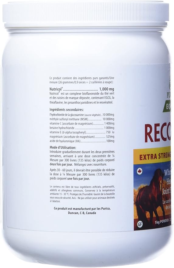 PURICA Equine Hyaluronic Acid - Horse Joint Support Supplement with Glucosamine, MSM Powder, Betaine, Magnesium, Vitamin C and E - Green Tea and Grape Seed Extract - Horse Supplies and Treats