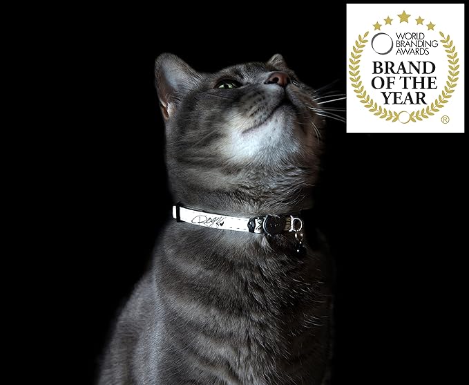 Rogz Glow in the Dark Reflective Cat Collar with Breakaway Clip and Removable Bell, fully adjustable to fit most breeds, Jumping Black Cat Design